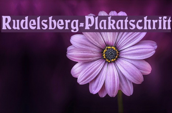 Rudelsberg-Plakatschrift Example 1