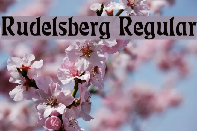 Rudelsberg Regular Example 1