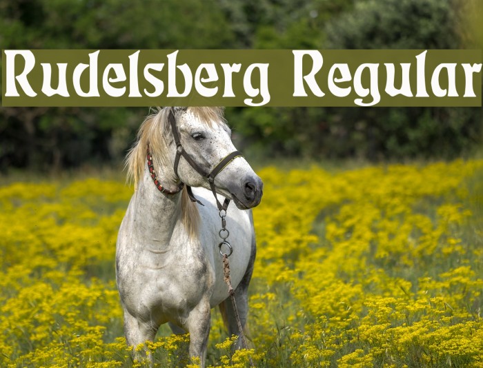 Rudelsberg Regular Font examples