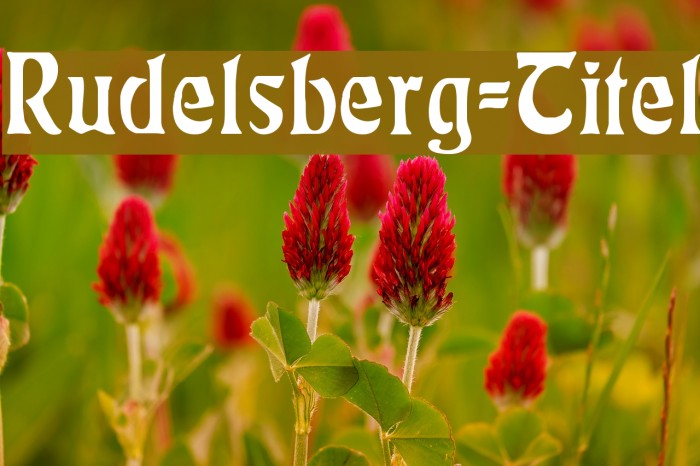 Rudelsberg-Titel Font examples