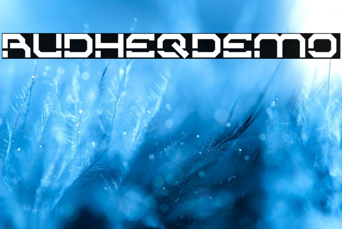 RudheqDemo Example 1