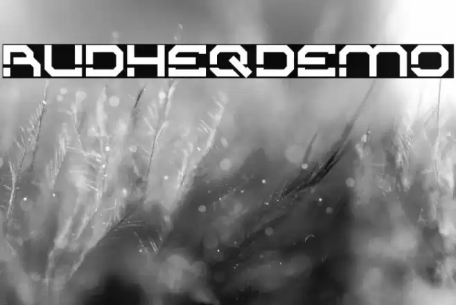 RudheqDemo Polices examples