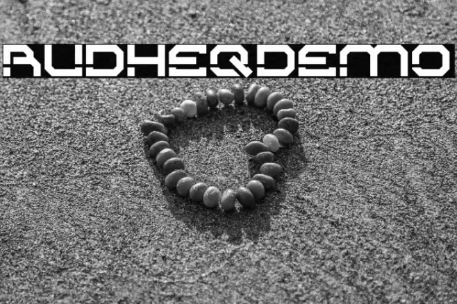 RudheqDemo Polices examples