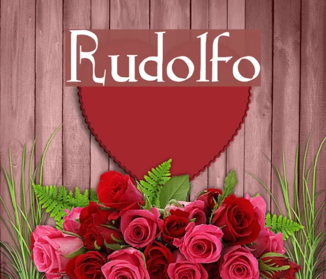Rudolfo Example 2