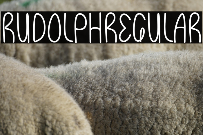 RudolphRegular Example 2