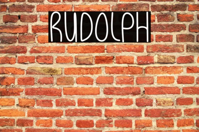Rudolph Example 1