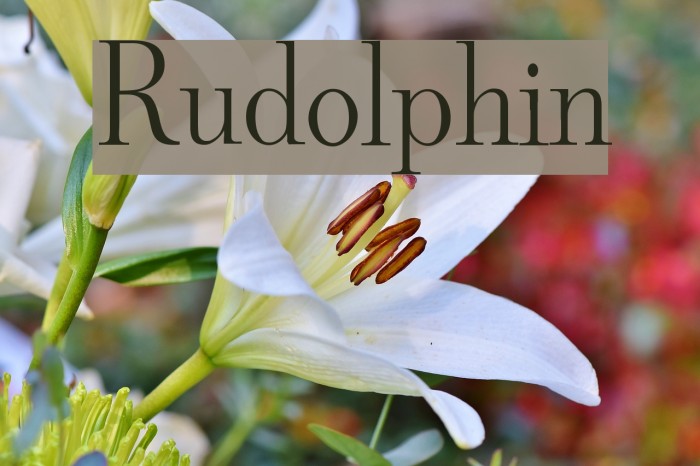 Rudolphin Font examples