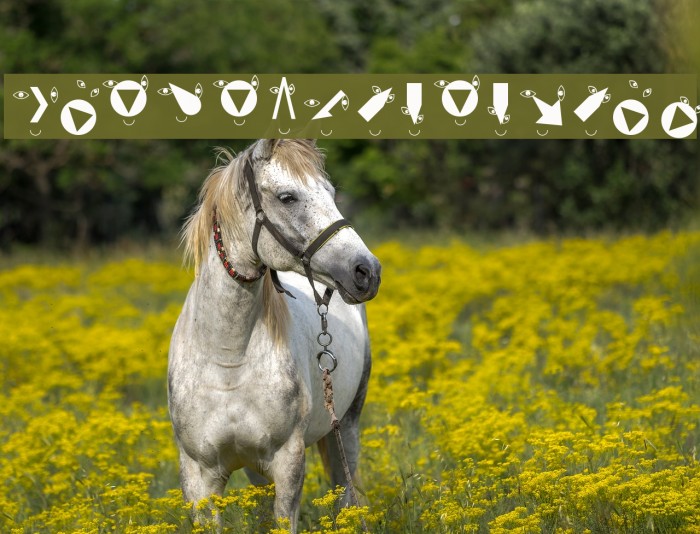 RuebenNosesFour Font examples