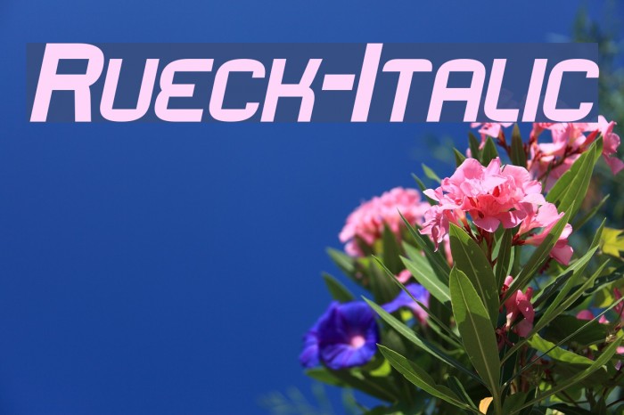 Rueck-Italic Fonte examples
