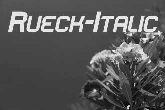 Rueck-Italic  examples