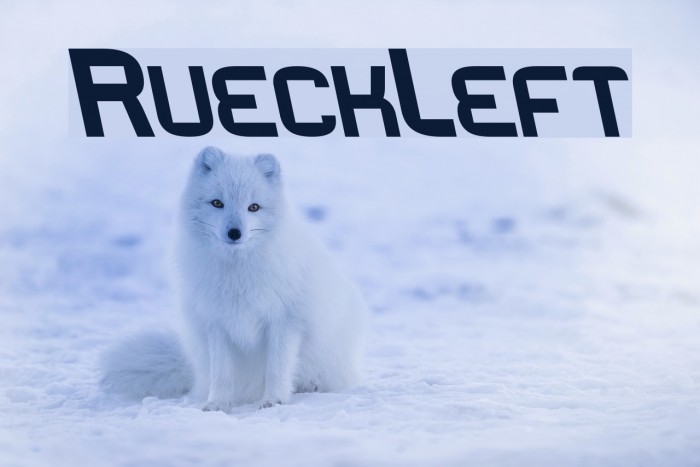RueckLeft Font examples