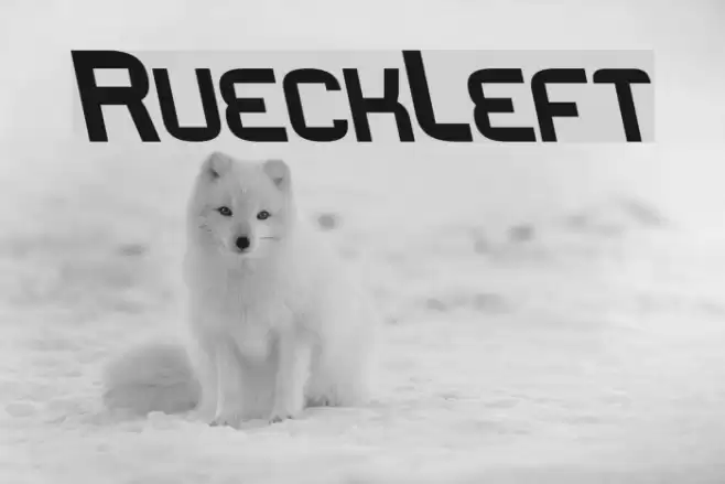 RueckLeft  examples