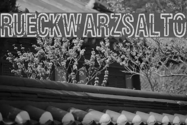 Rueckwarzsalto Font examples