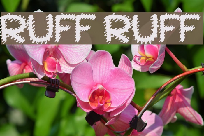 Ruff Ruff Font examples