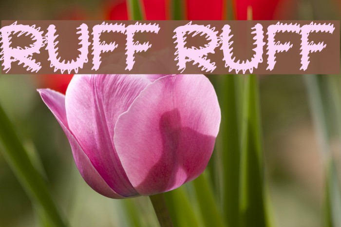 Ruff Ruff Font examples