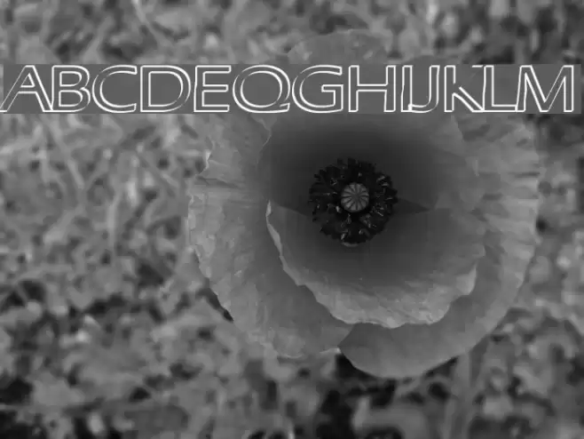 Ruffian Outline Font examples