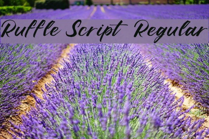 Ruffle Script DEMO Regular Font examples