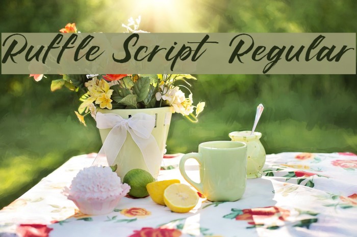 Ruffle Script DEMO Regular Font examples