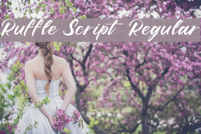 Ruffle Script DEMO Regular Font examples