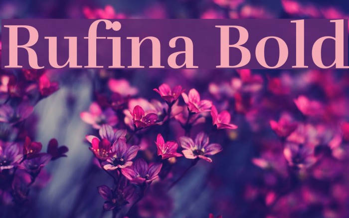 Rufina Bold Font examples