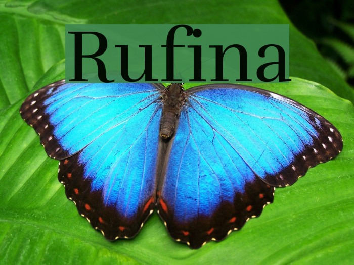 Rufina Font examples