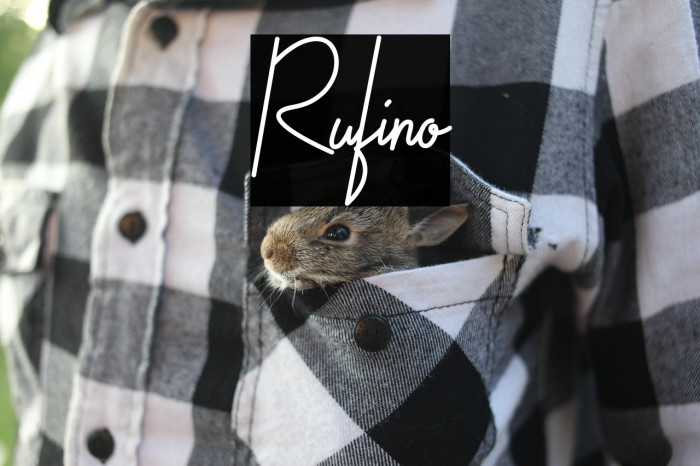 Rufino Example 1