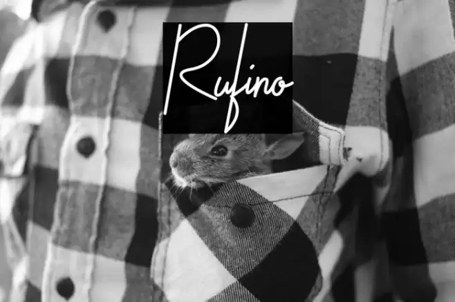 Rufino Font examples