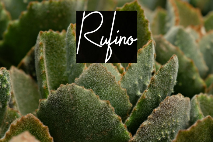 Rufino Example 2