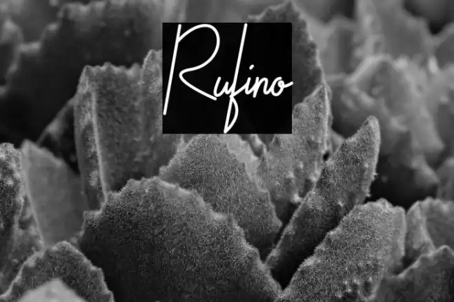 Rufino Font examples