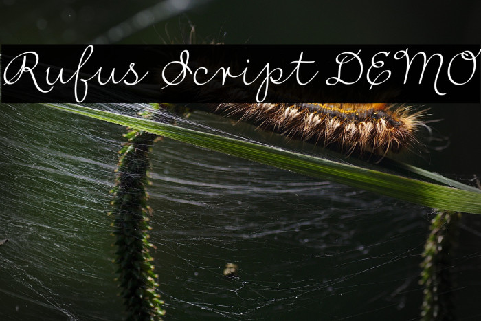 Rufus Script DEMO Example 1