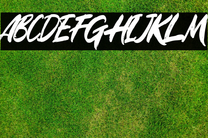 Rugani Payne Example 2