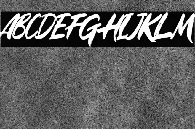 Rugani Payne Font examples