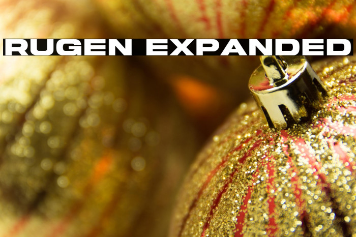 Rugen Expanded Example 2