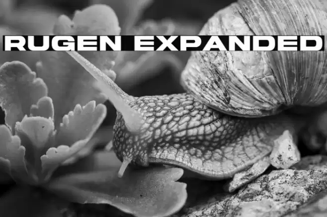 Rugen Expanded फ़ॉन्ट examples