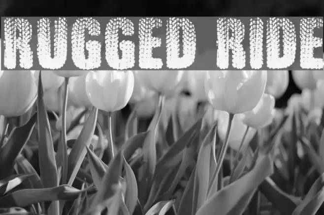 Rugged Ride Шрифта examples
