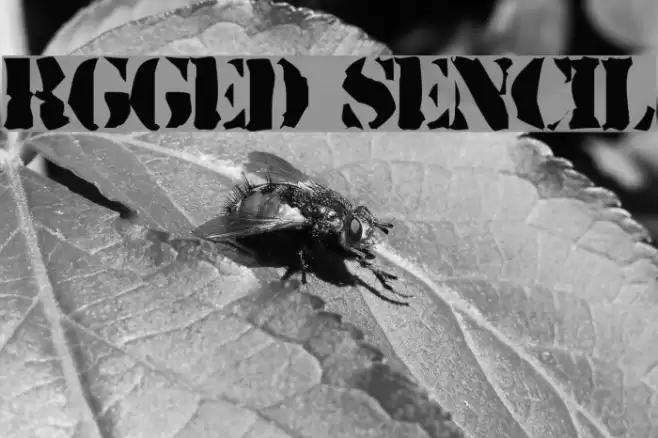 Rugged Stencil Шрифта examples