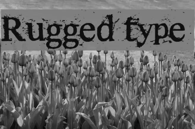 Rugged type Шрифта examples