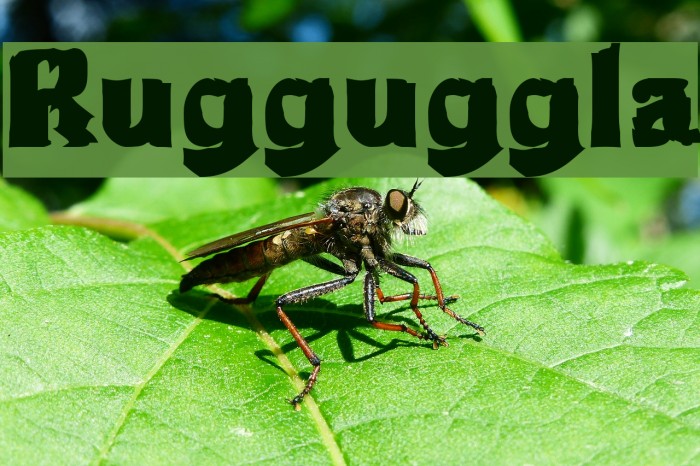Rugguggla Font examples