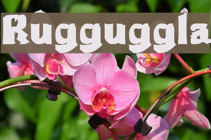 Rugguggla Font examples