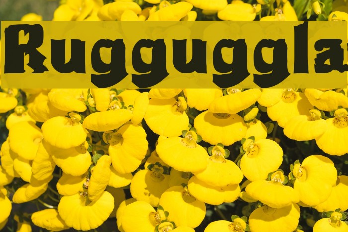 Rugguggla Font examples