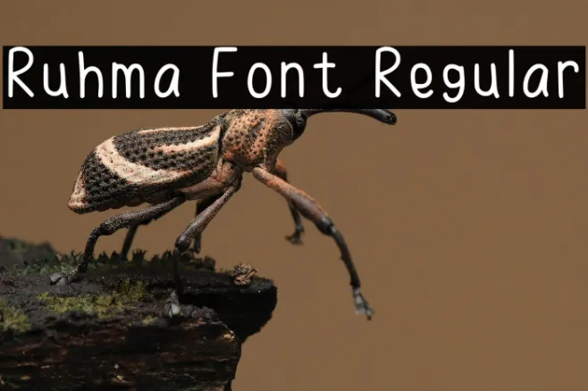 Ruhma Font Regular Example 2