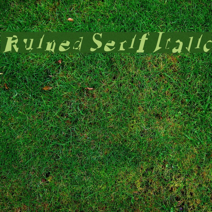 Ruined Serif Italic Font examples