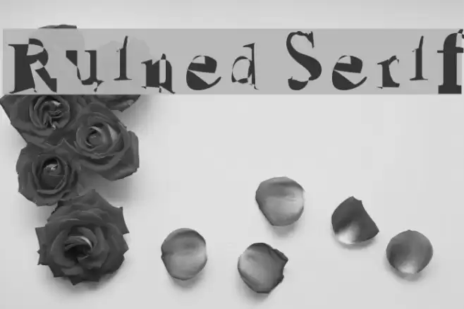 Ruined Serif Font examples