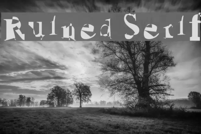 Ruined Serif Font examples