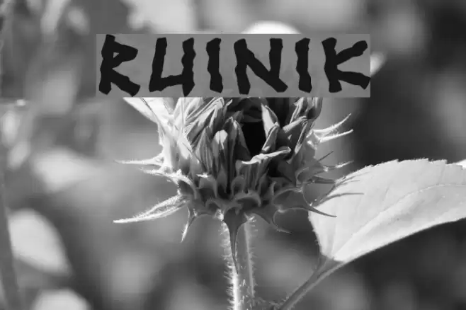 Ruinik Font examples