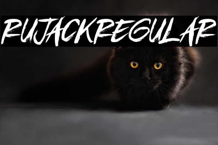 RujackRegular Example 3