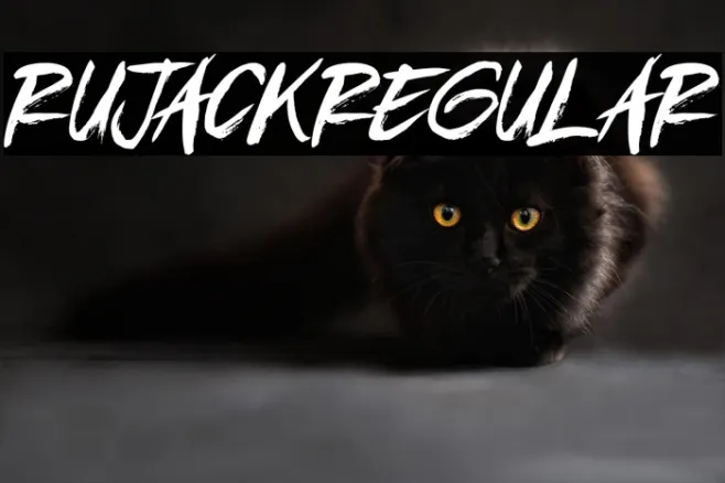 RujackRegular Example 3