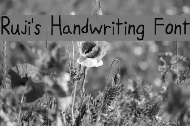 Ruji's Handwriting Font Font examples