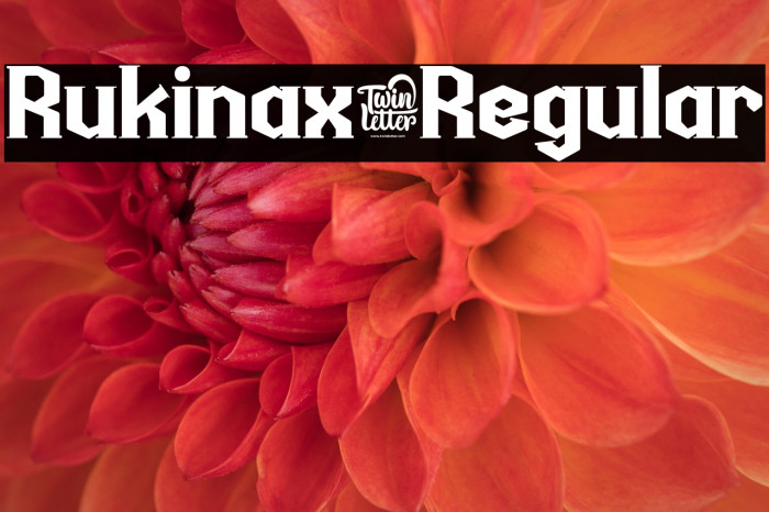 Rukinax-Regular Example 2