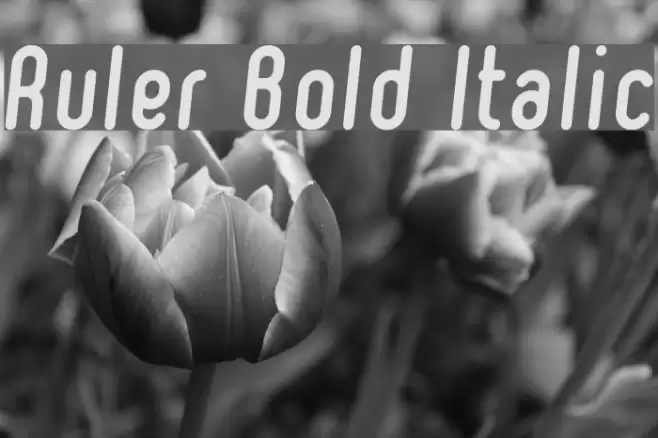 Ruler Bold Italic Font examples